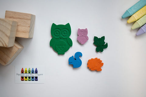 Owl Friend and Forest Crayon Critters